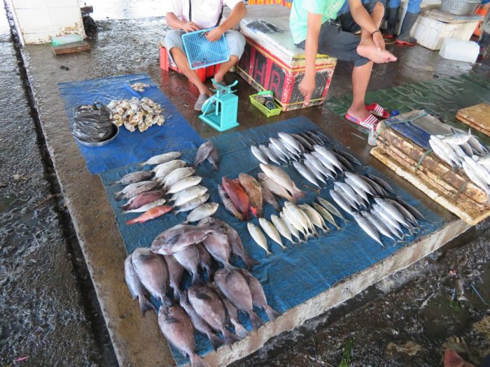 hoogtepunt Sulawesi: vismarkt Makkasar