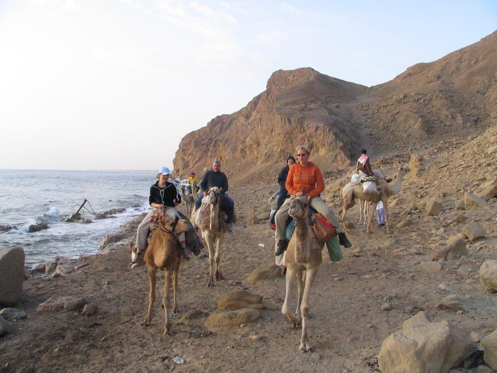 kamelensafari door Sinaï