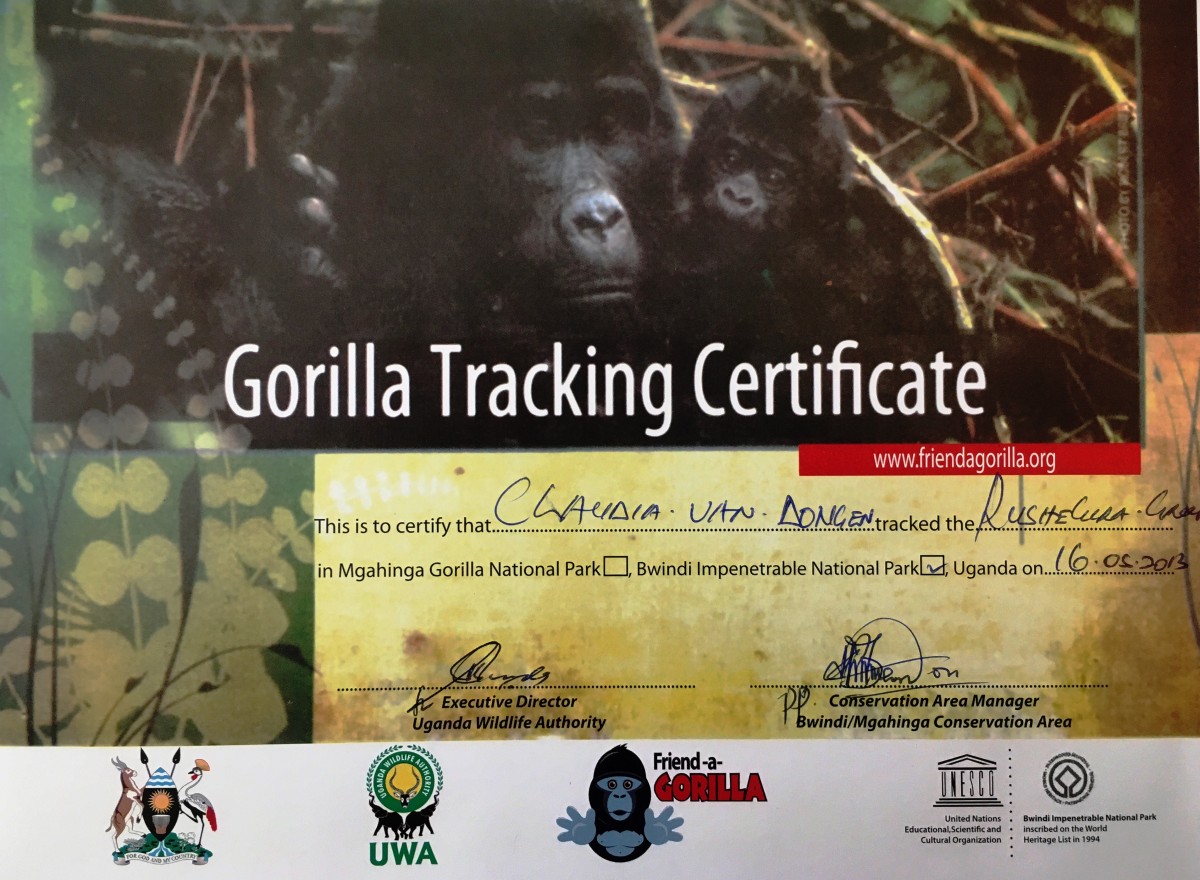 gorilla tracking certificate