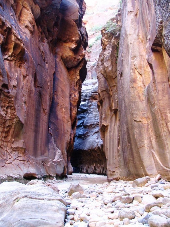 The narrows in Zion NP