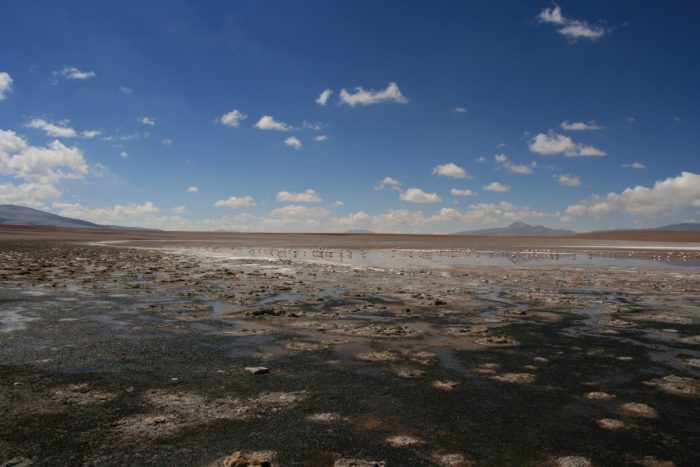 landschap Bolivia