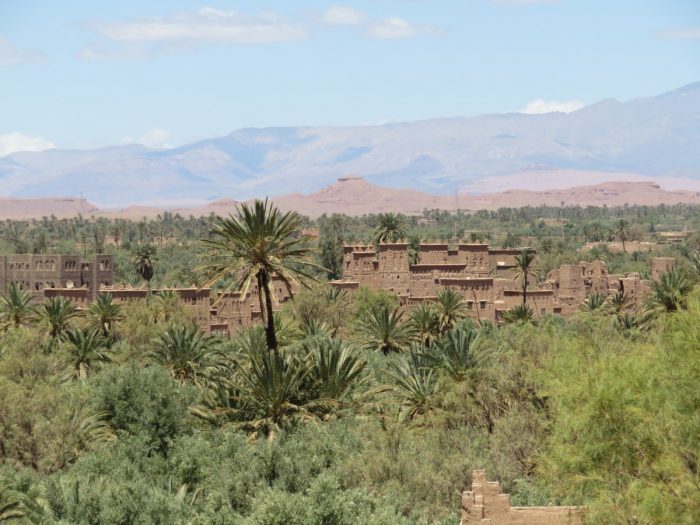 Marokko: palmentuin van Skoura