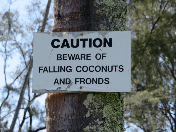 Beware of falling coconuts