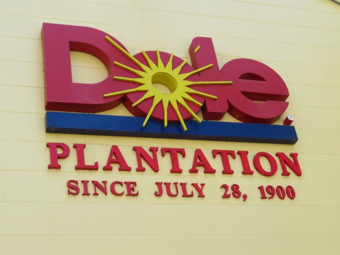 Dole plantation