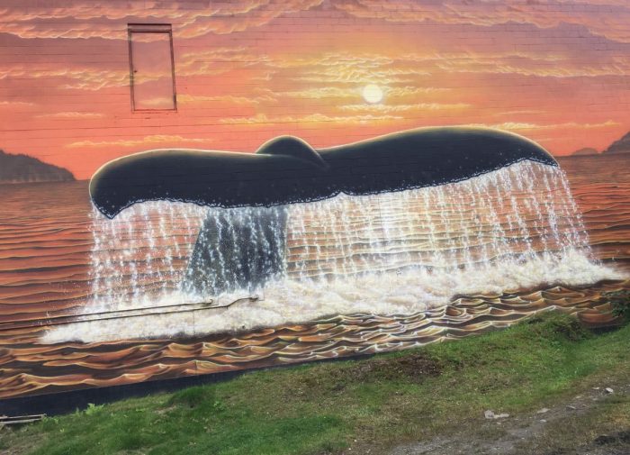 muurschildering walvisstaart prince rupert
