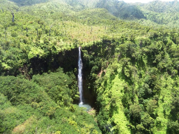 Manawaipuna falls