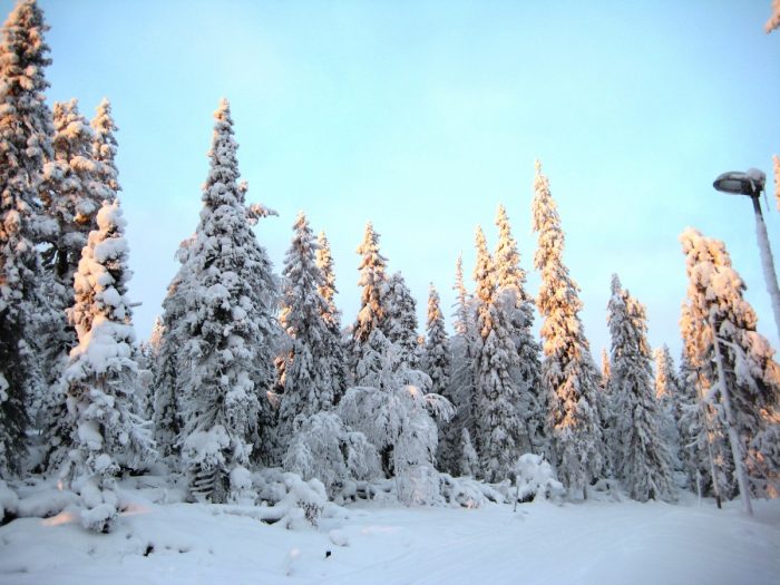 winter in lapland