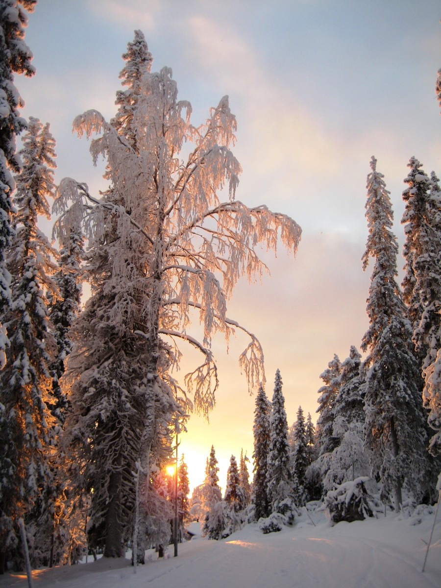 lapland in winter