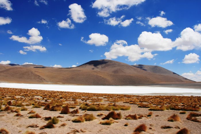 Laguna Blanca Bolivia