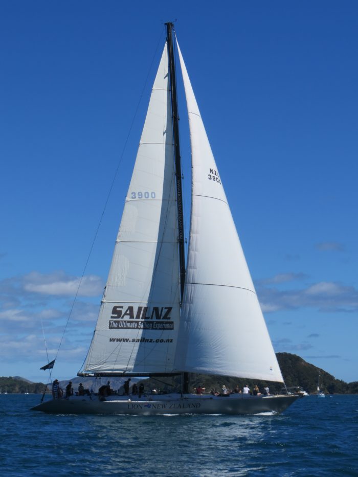 Sail Lion New Zealand