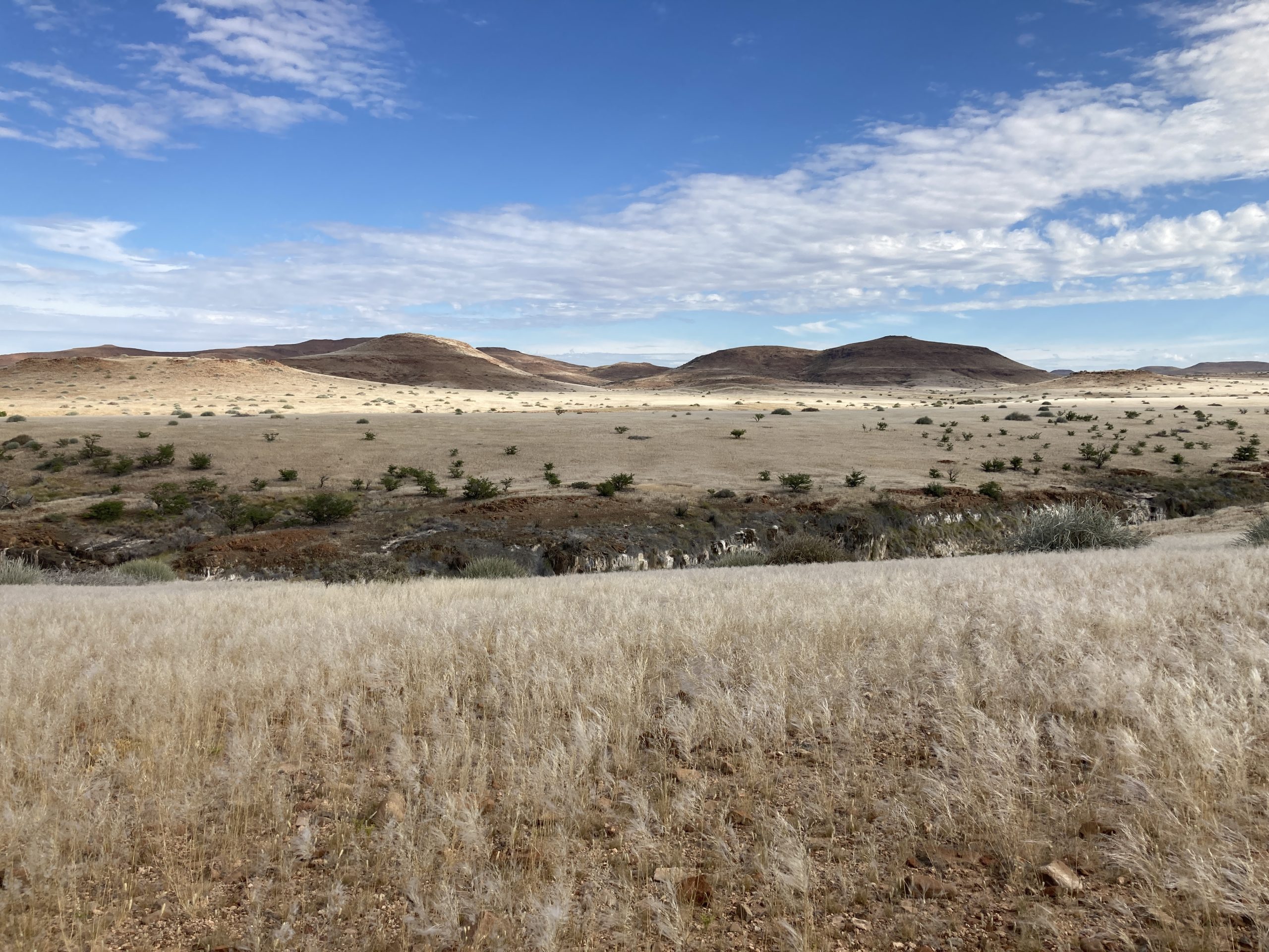landschap palmwag namibie