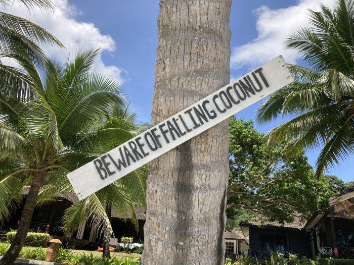 beware of falling coconut