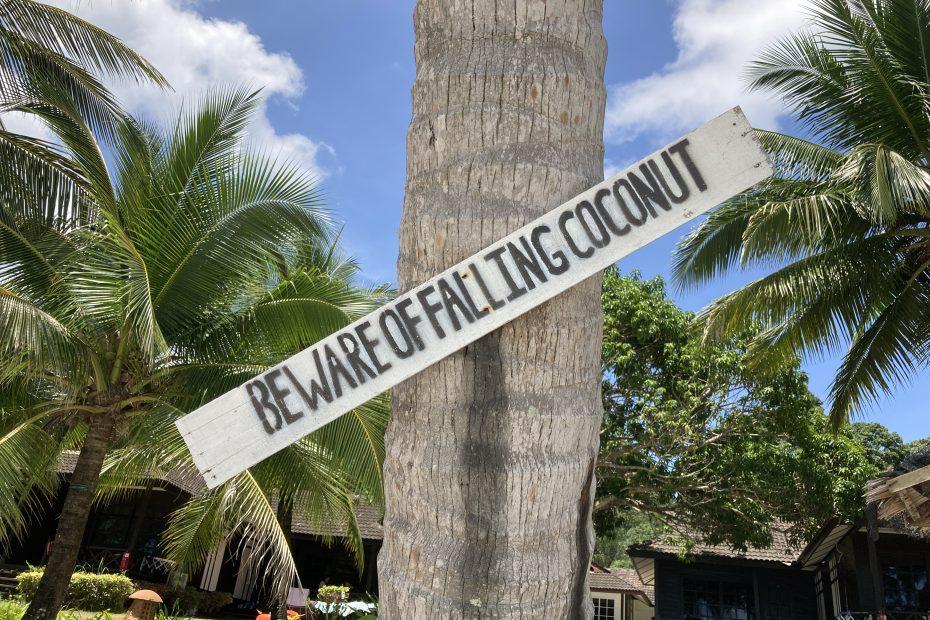beware of falling coconut