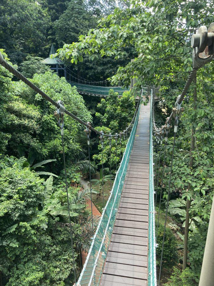 KL eco Forest