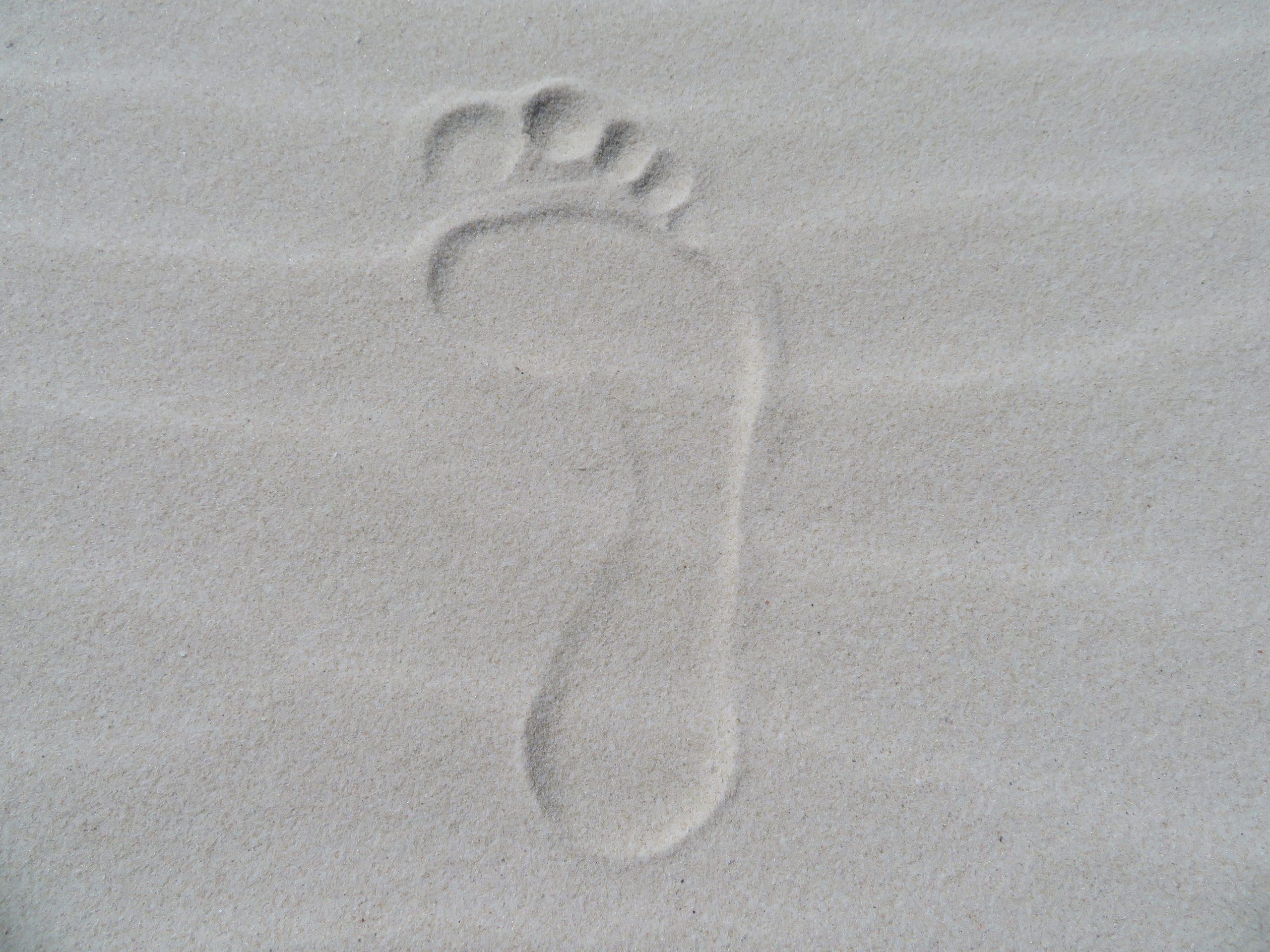 follow my footprints