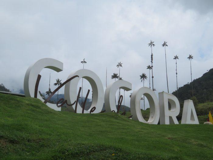 Cocora Colombia