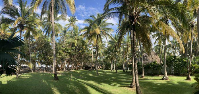 palmbomen senda casalina ecolodge

