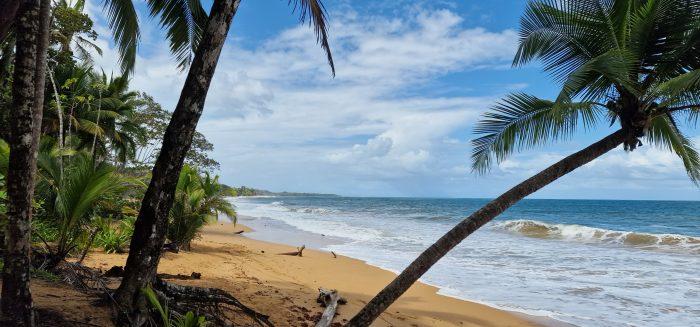 bluff beach Bocas del Toro