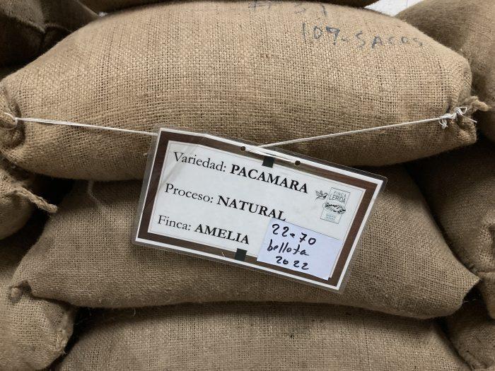 zakken koffie Panama