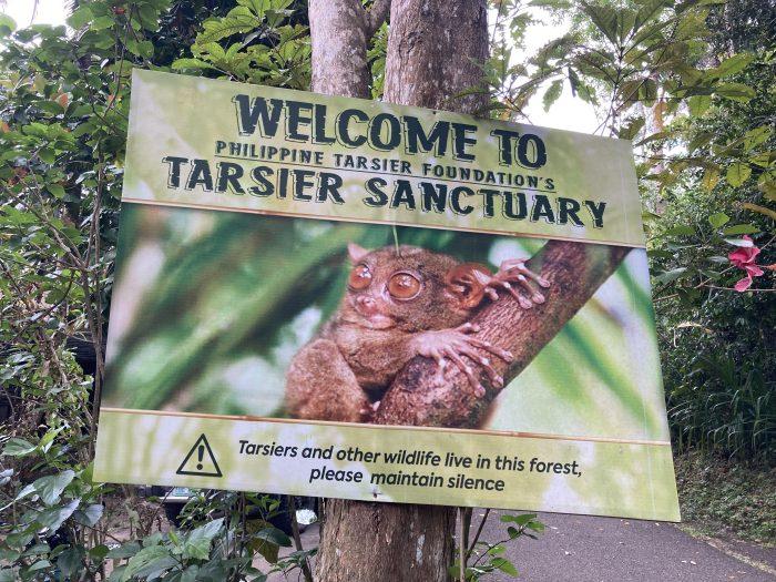 Bohol tarsier sanctuary