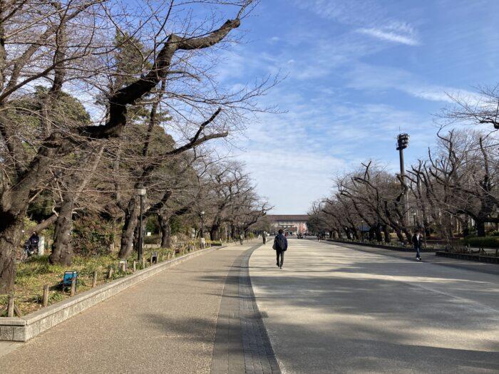 Ueno park Tokio tips stedentrip
