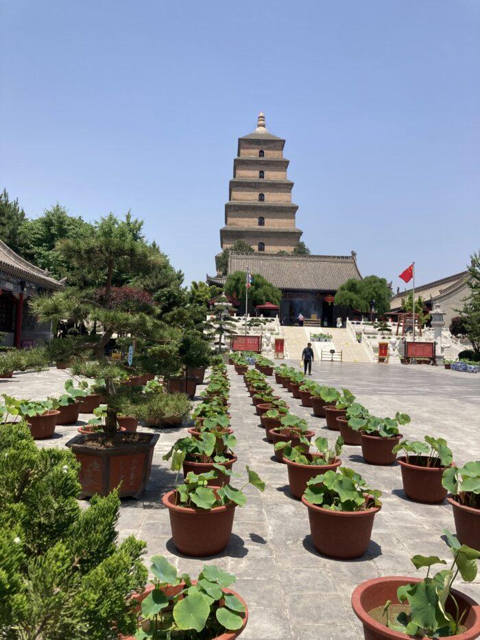 giant wild goose pagoda