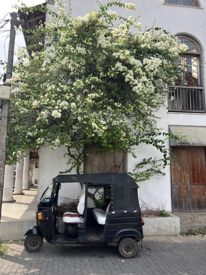 tuktuk Galle