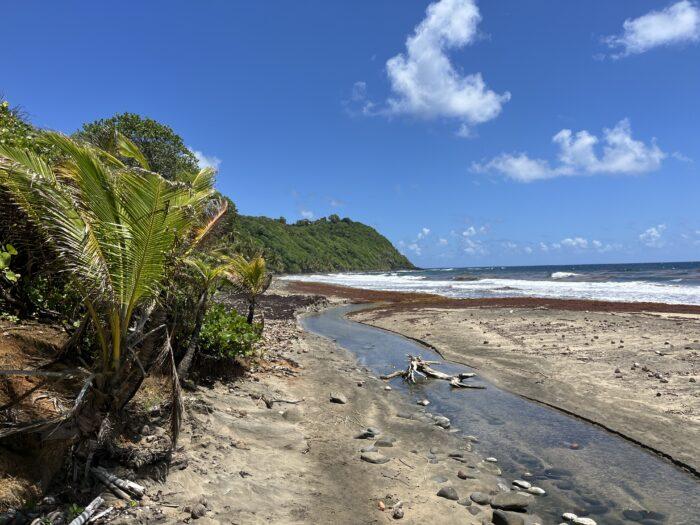 plage charpentier Martinique