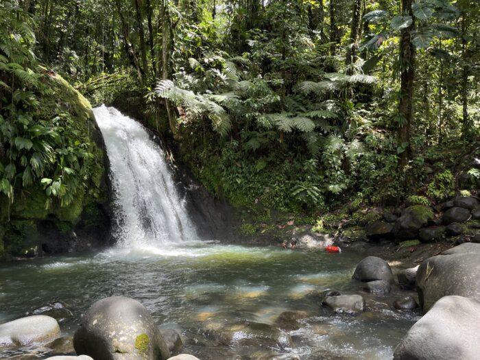 cascade aux ecrivisses guadeloupe