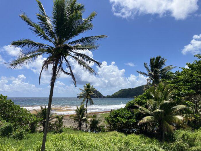 op vakantie naar Martinique
