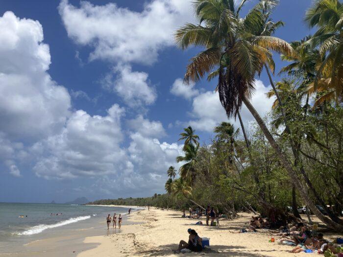 plage des salinas Martinique