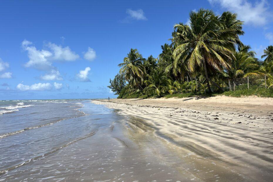 chillen aan tropische braziliaanse stranden