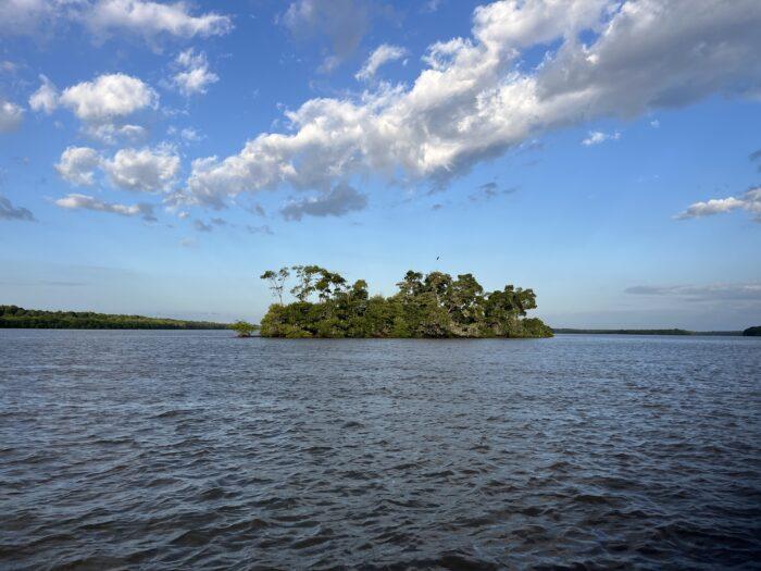 rode ibissen eiland